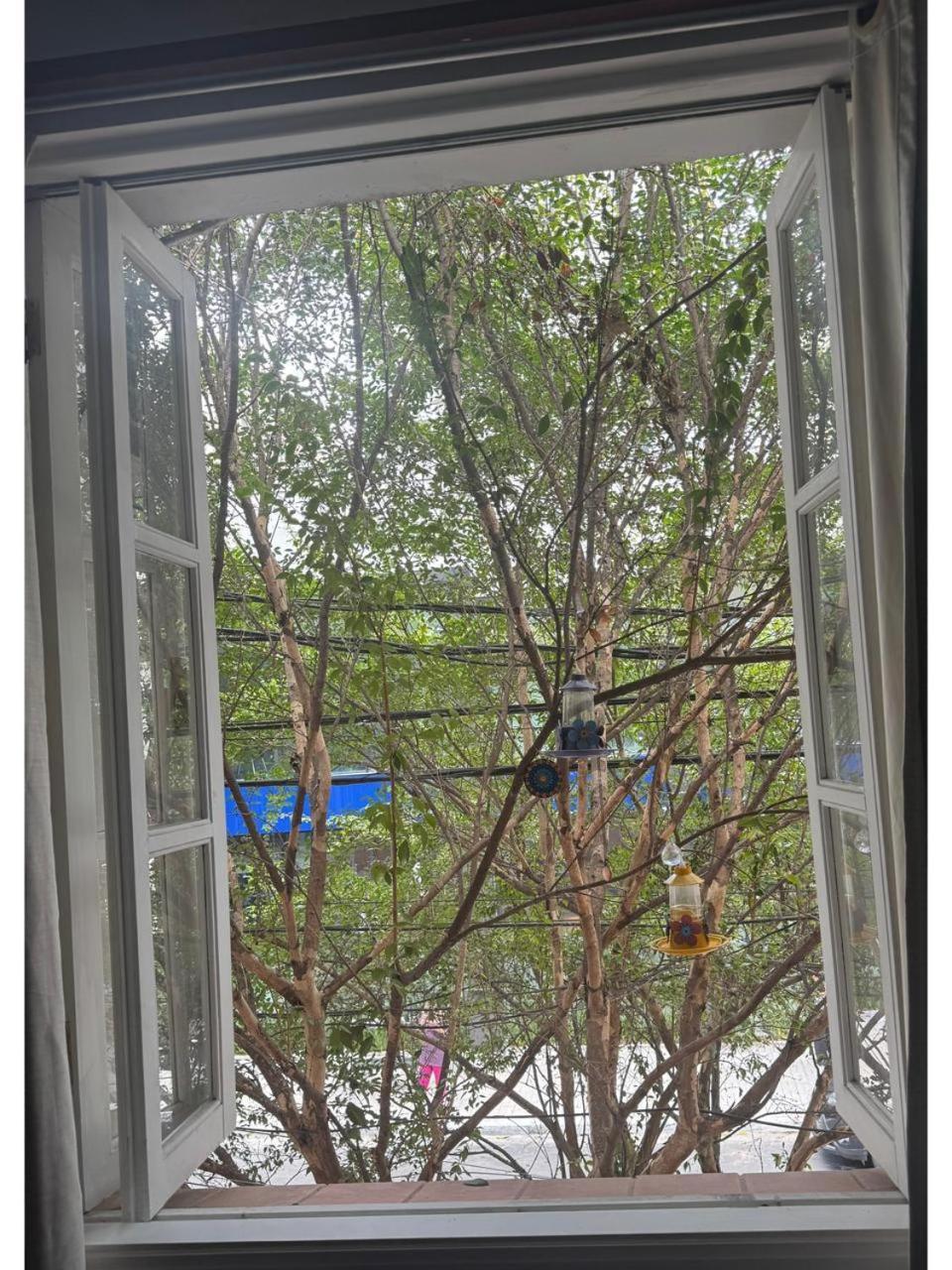 Casa Saint Hilaire * São Paulo